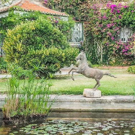 Casa Buganvilia T2 Cascais