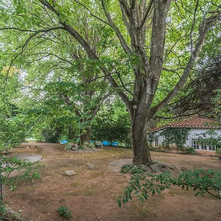 Casa Buganvilia T2 *